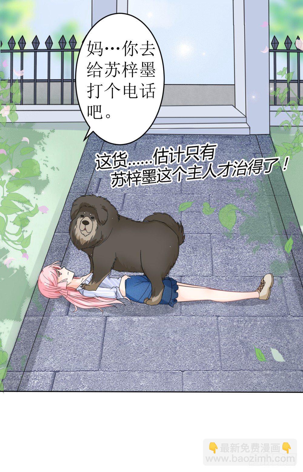 《霸总萌妻你好，苏大王！》第15话 被狗毁掉的美好生活！ 第19页
