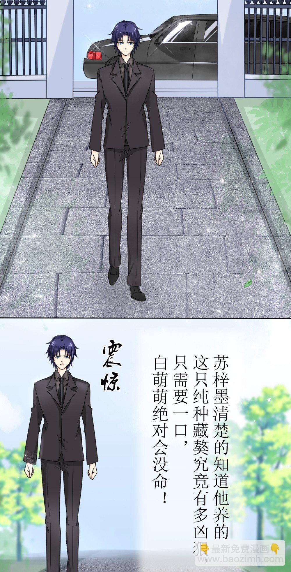 《霸总萌妻你好，苏大王！》第15话 被狗毁掉的美好生活！ 第25页