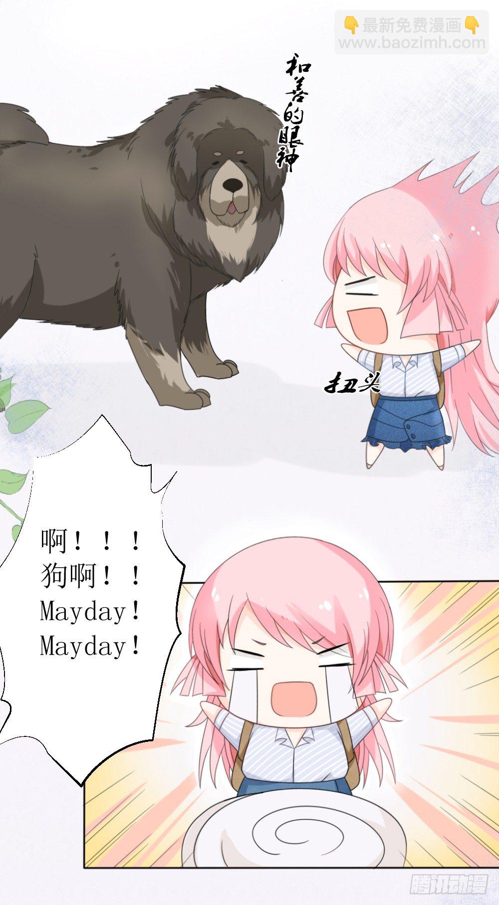 《霸总萌妻你好，苏大王！》第15话 被狗毁掉的美好生活！ 第3页