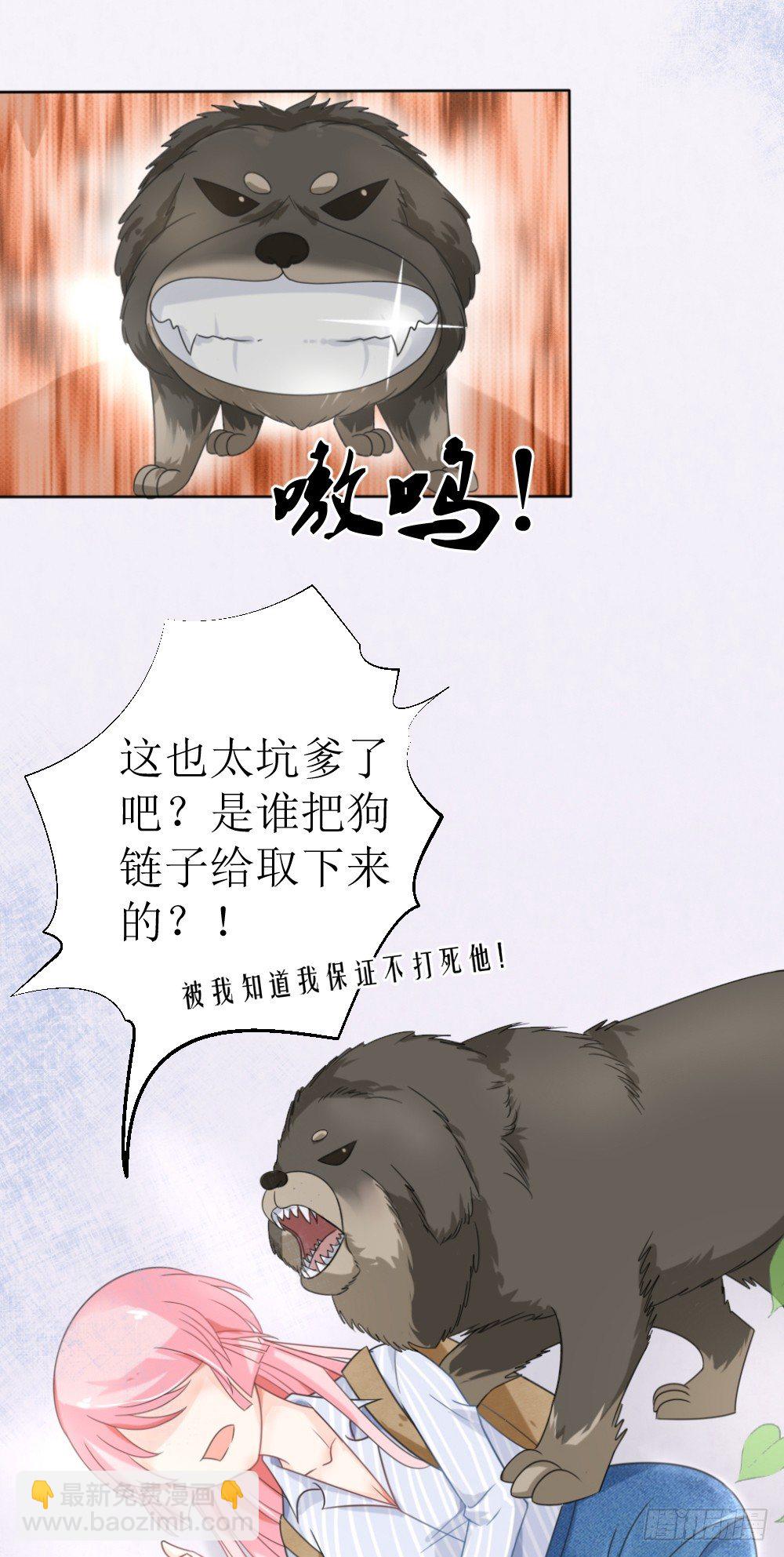 《霸总萌妻你好，苏大王！》第15话 被狗毁掉的美好生活！ 第4页