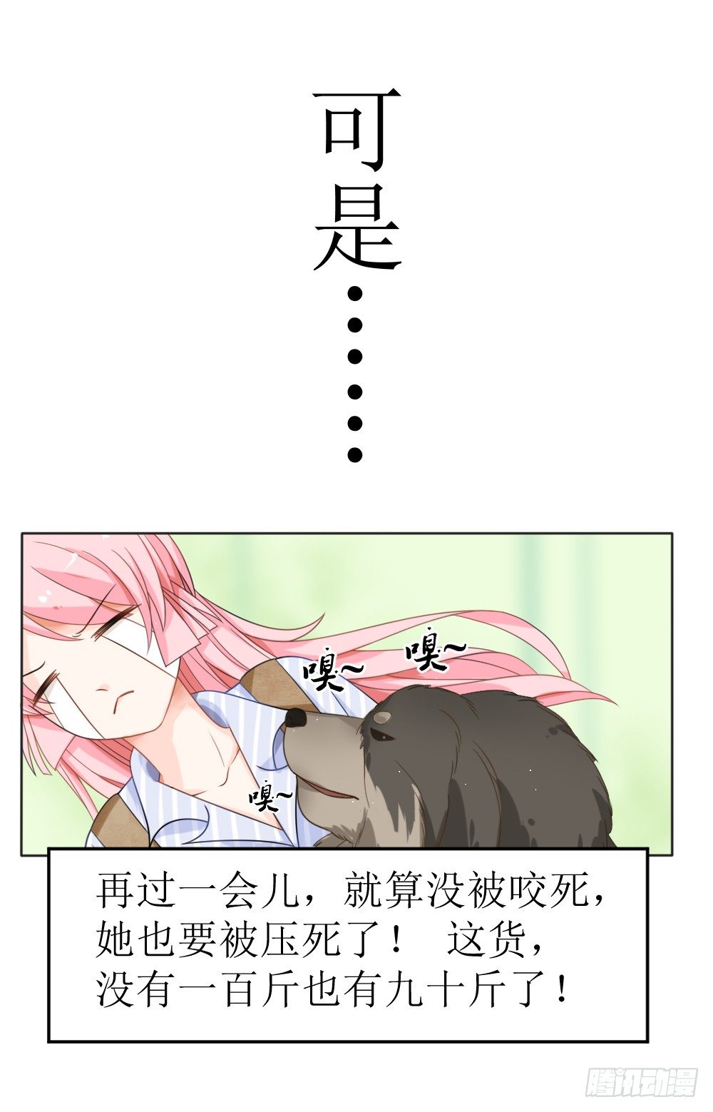 《霸总萌妻你好，苏大王！》第15话 被狗毁掉的美好生活！ 第8页
