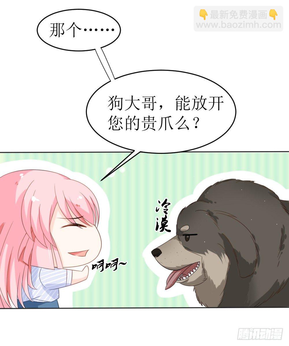 《霸总萌妻你好，苏大王！》第15话 被狗毁掉的美好生活！ 第9页