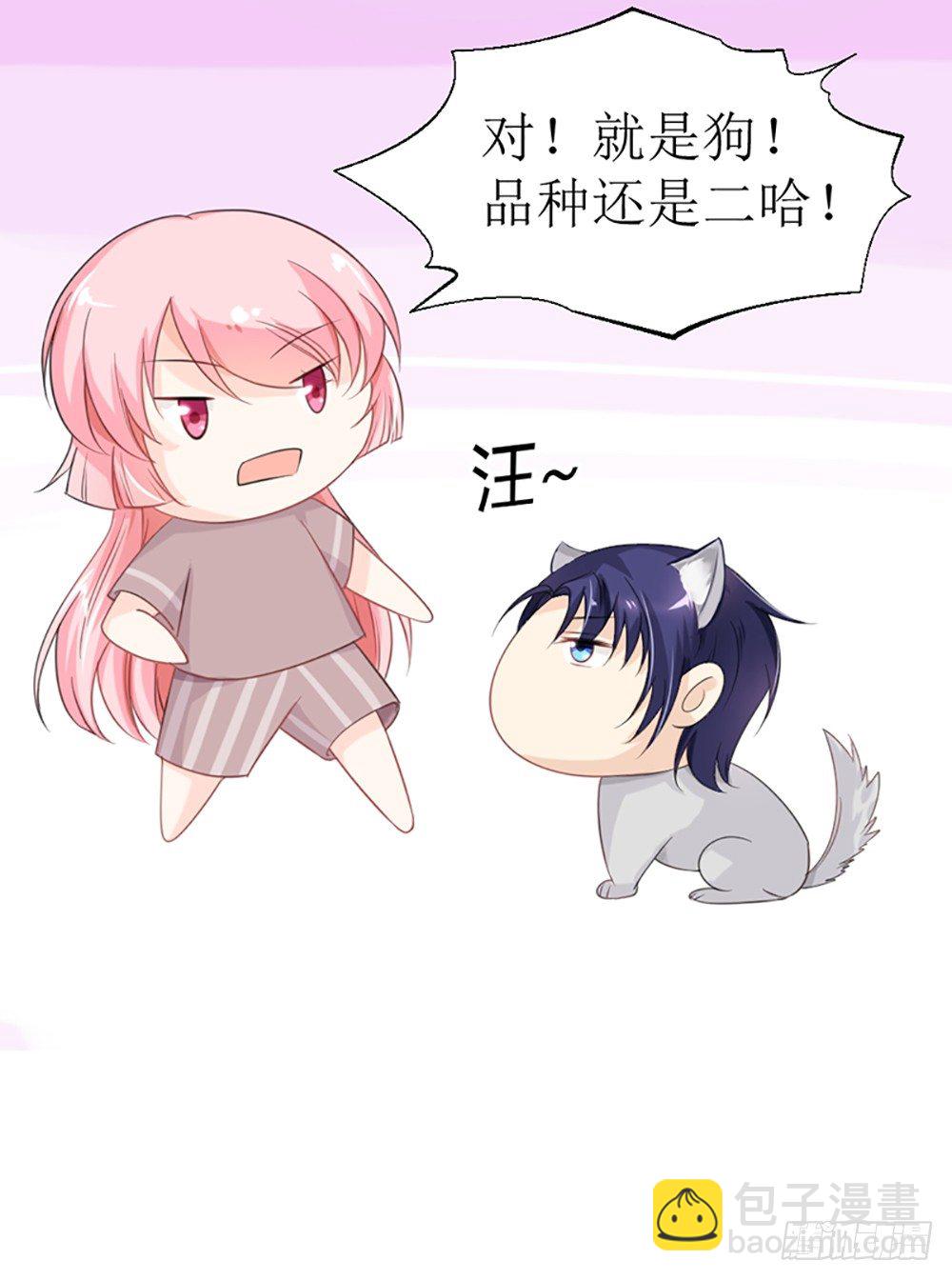 《霸总萌妻你好，苏大王！》第19话 夫人，又脑抽了？ 第8页