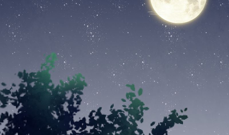《霸总萌妻你好，苏大王！》第51话 白萌萌失踪了 第3页