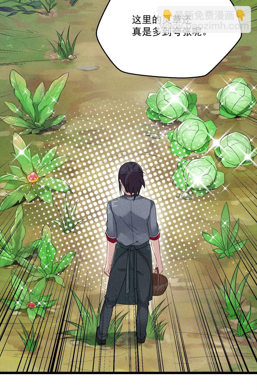 《武林第一厨师》005 灵草园 第41页
