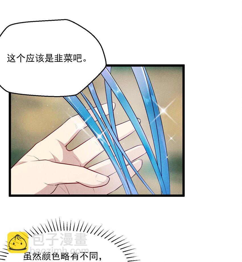《武林第一厨师》005 灵草园 第42页