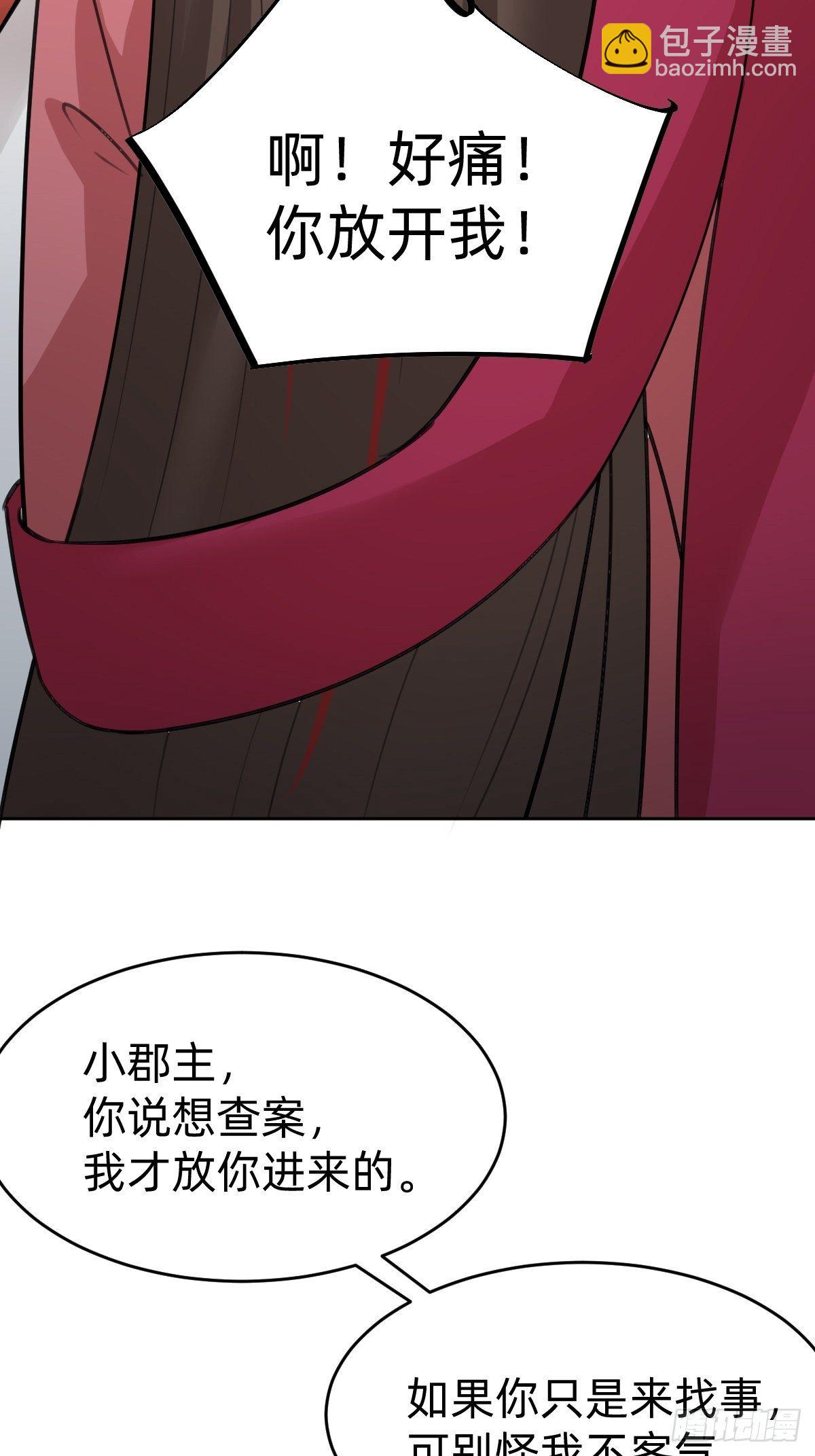 《叫我复仇女神》都是你太子哥哥送的 第24页