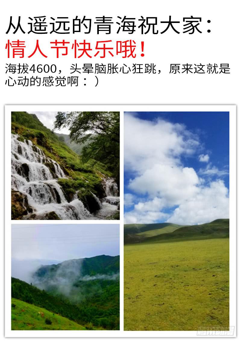 《一律当鲜》他想泡你 第13页