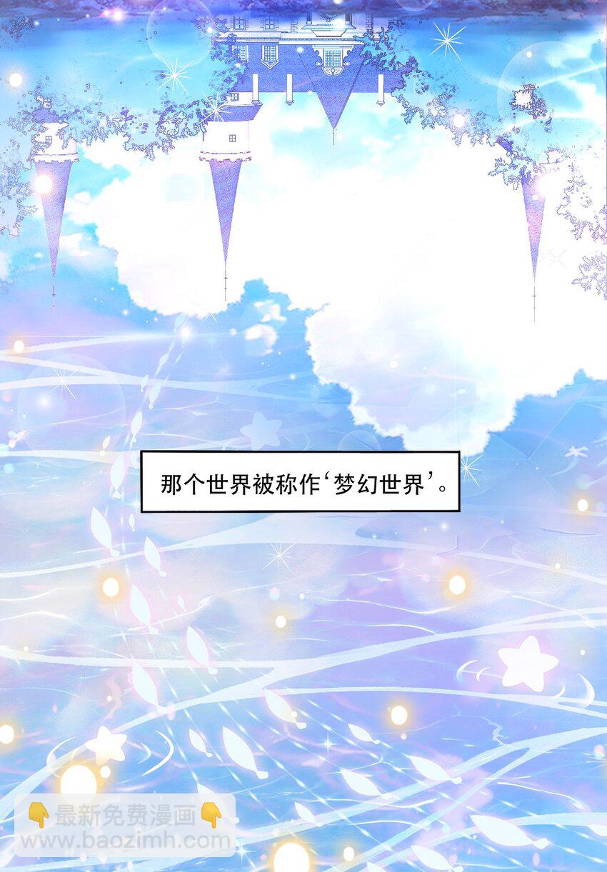 《我的公会不可能有女孩子》066 镜像世界 第13页