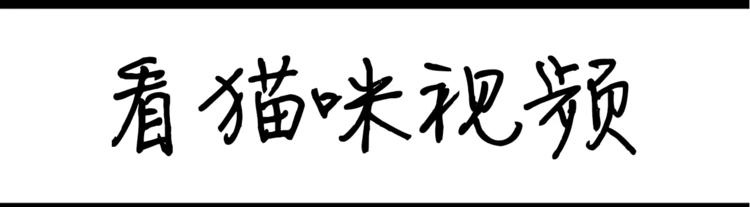 《设计系奶盖日常》第29话 看到爱豆照片的我 第8页