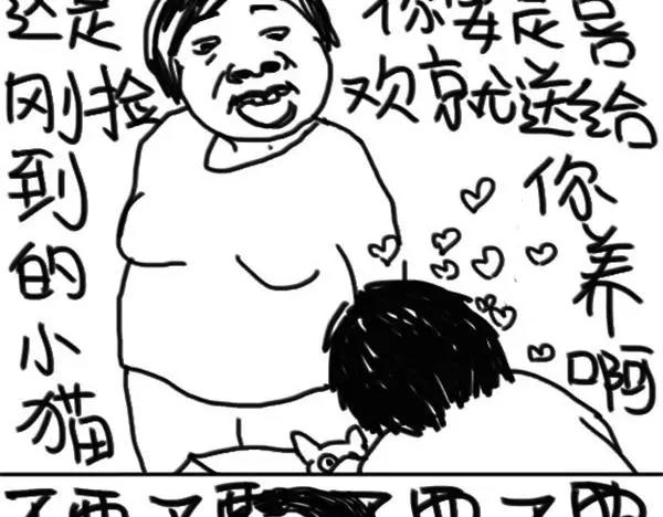 《设计系奶盖日常》第39话 猫看我拉屎 第12页