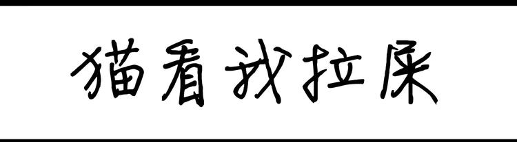 《设计系奶盖日常》第39话 猫看我拉屎 第1页