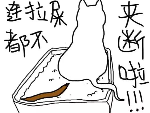 《设计系奶盖日常》第40话 猫屎太臭了吧 第15页