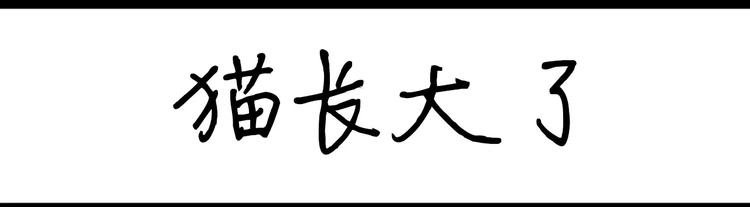 《设计系奶盖日常》第40话 猫屎太臭了吧 第9页