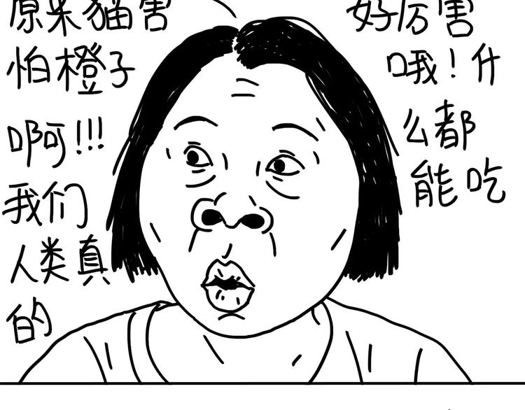 《设计系奶盖日常》第86话 猪也可以 第12页