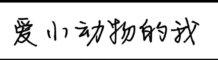 《设计系奶盖日常》第96话 爱小动物的我 第1页