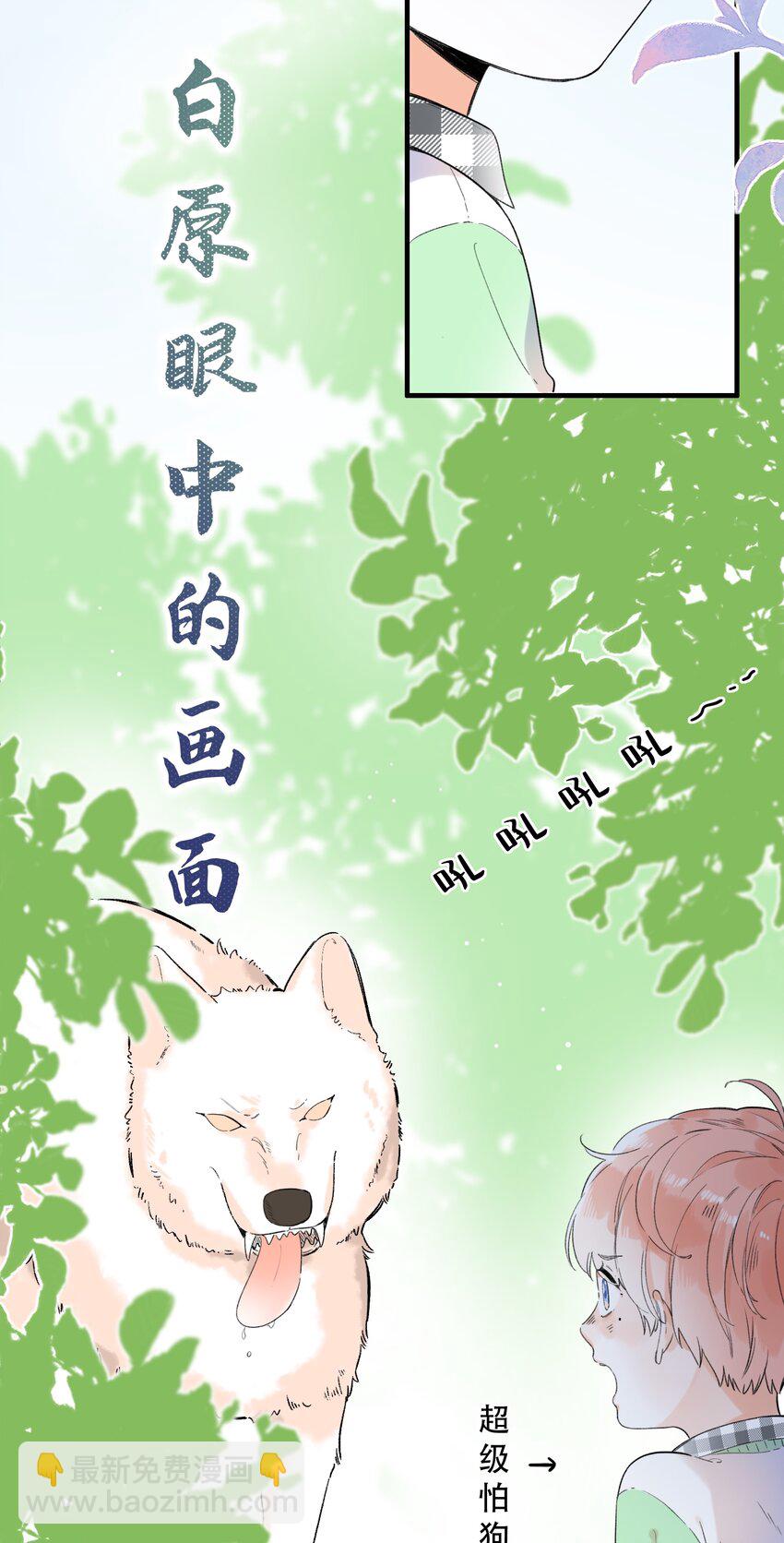 《水中飘零之星》017 她是最特别的人 第15页