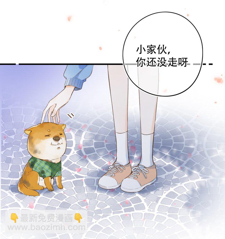 《水中飘零之星》037 好不容易 第20页