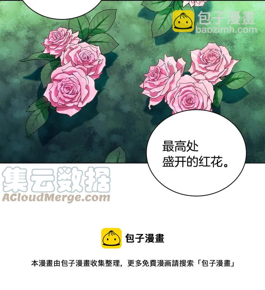 《贵族养女变王子》第16话 遭遇绑架 第29页