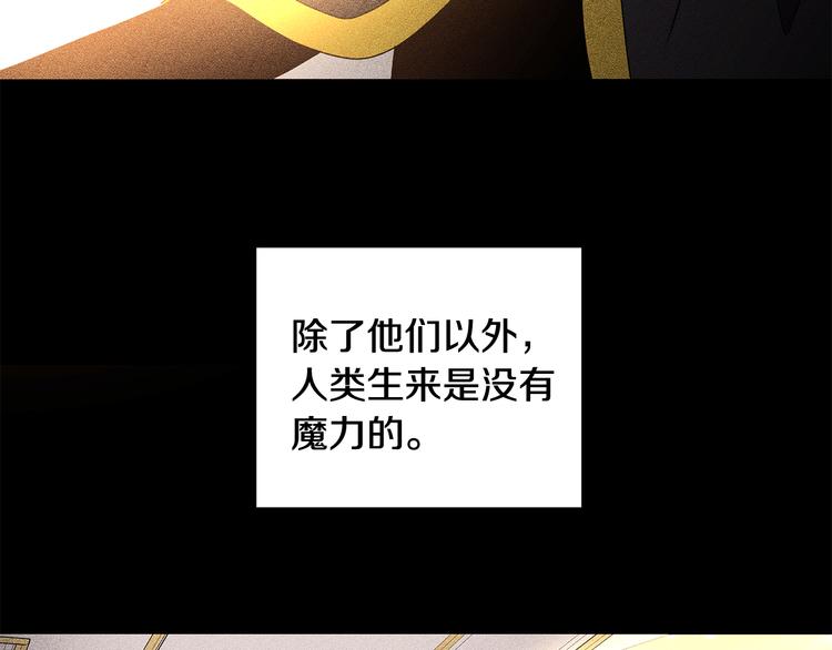 《贵族养女变王子》第28话 可怕的面具 第29页