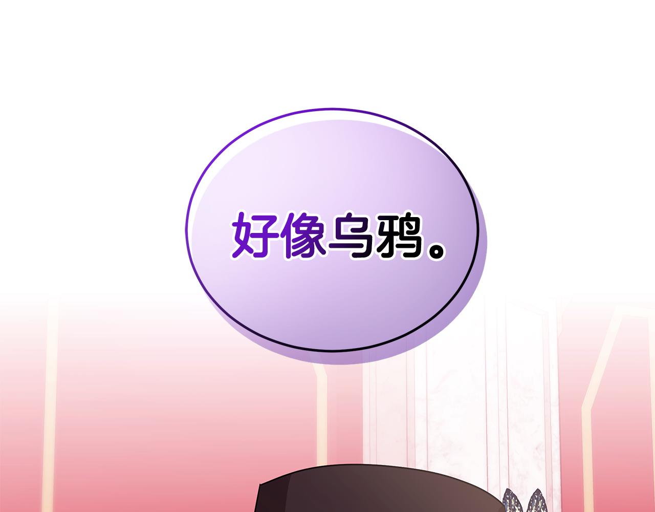 《贵族养女变王子》第63话 华丽丽的名媛 第11页