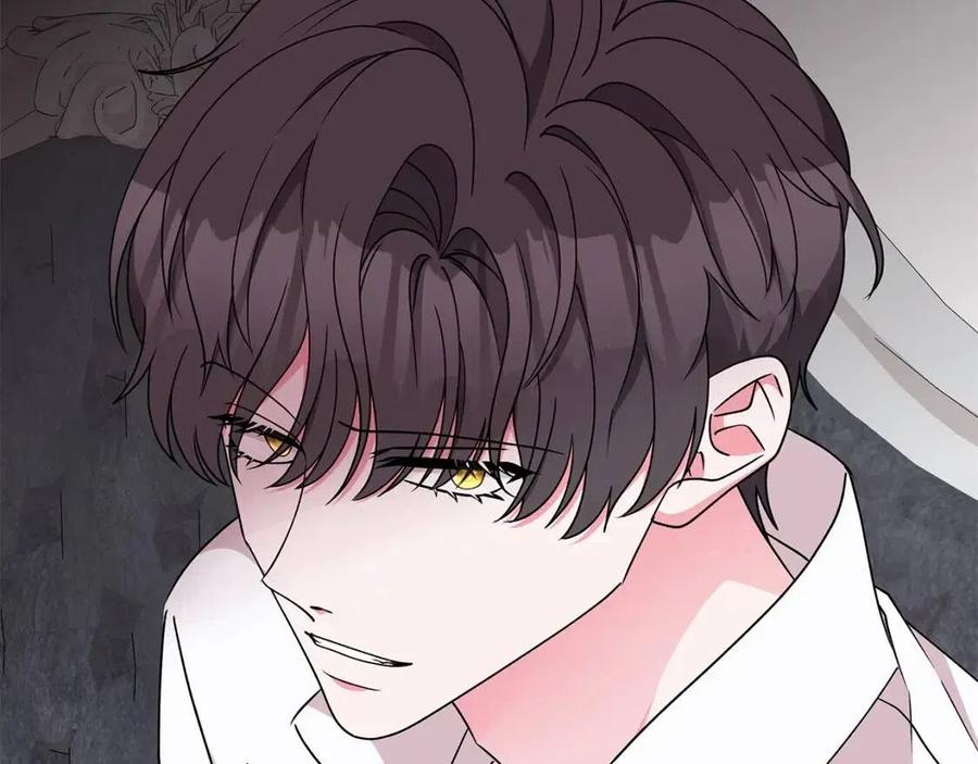 《贵族养女变王子》第77话 想嫁你 第16页