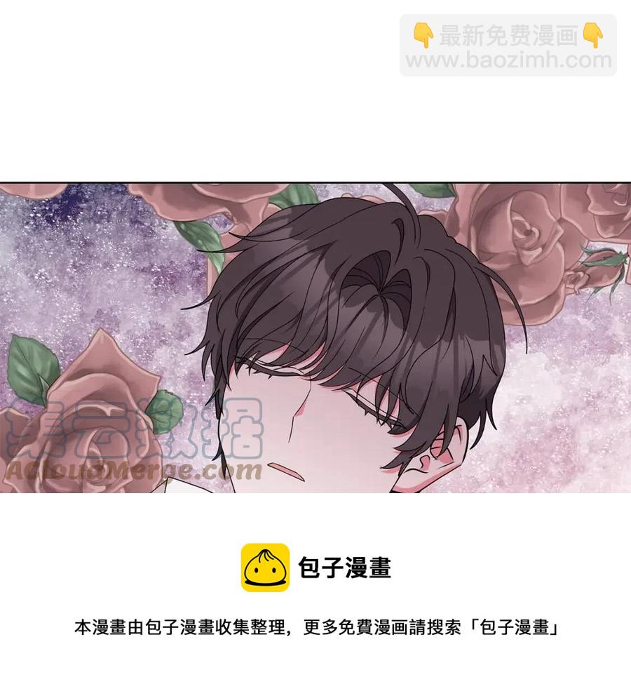 《贵族养女变王子》第78话 准备进宫 第13页