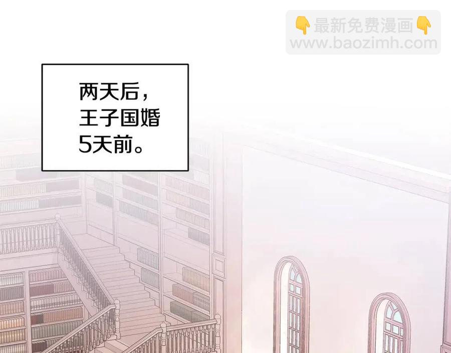 《贵族养女变王子》第88话 合谋救殿下 第20页