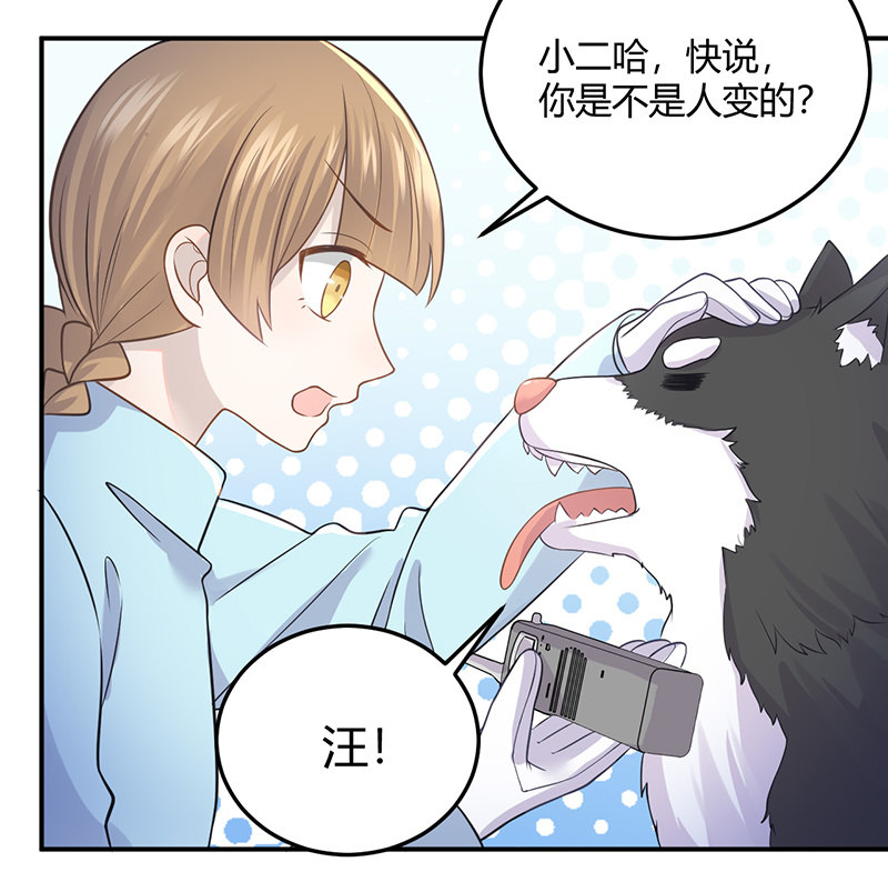 《神奇男饭在哪里》我亲爱的sweet girl 第3页