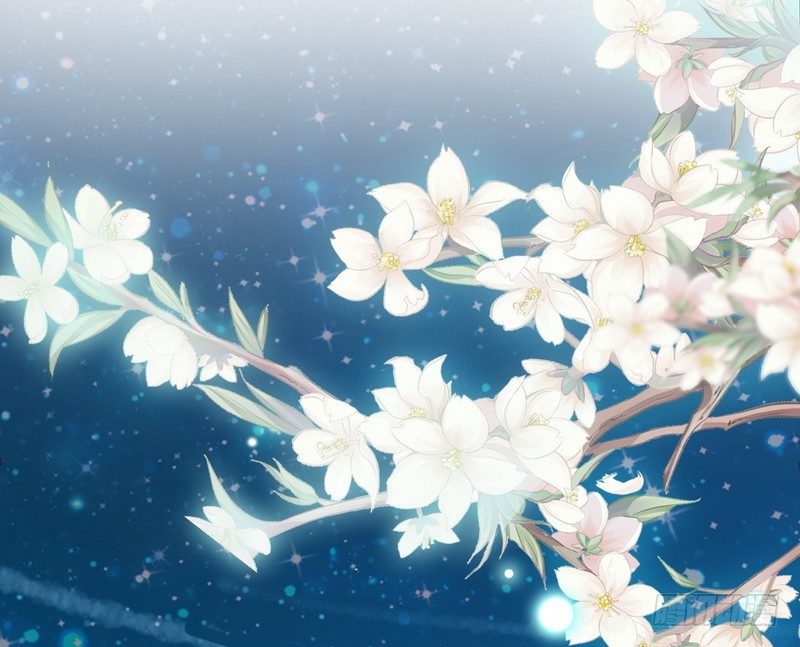 《神秘帝少甜宠妻》第2话 救人的报酬 第15页