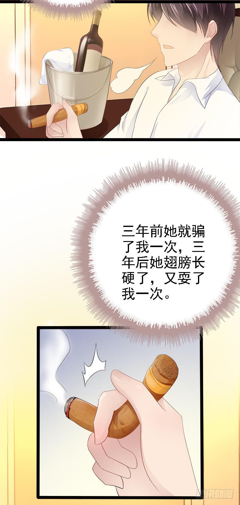 《神秘帝少甜宠妻》第23话 我知道那晚的真相 第23页
