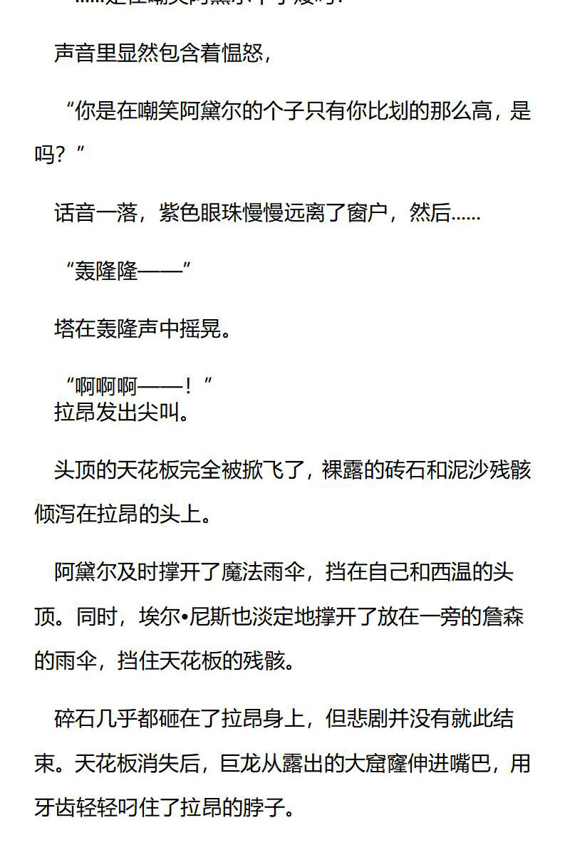 《龙男友要从小养成》第90章 救援会议 第3页