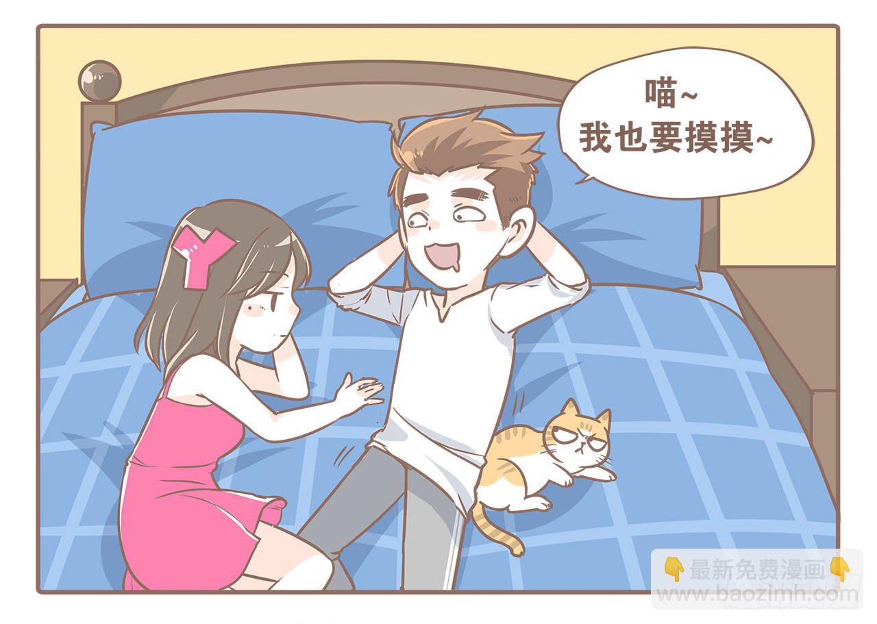 《大圣和小夭》领养了一只猫，叫督尼 第12页