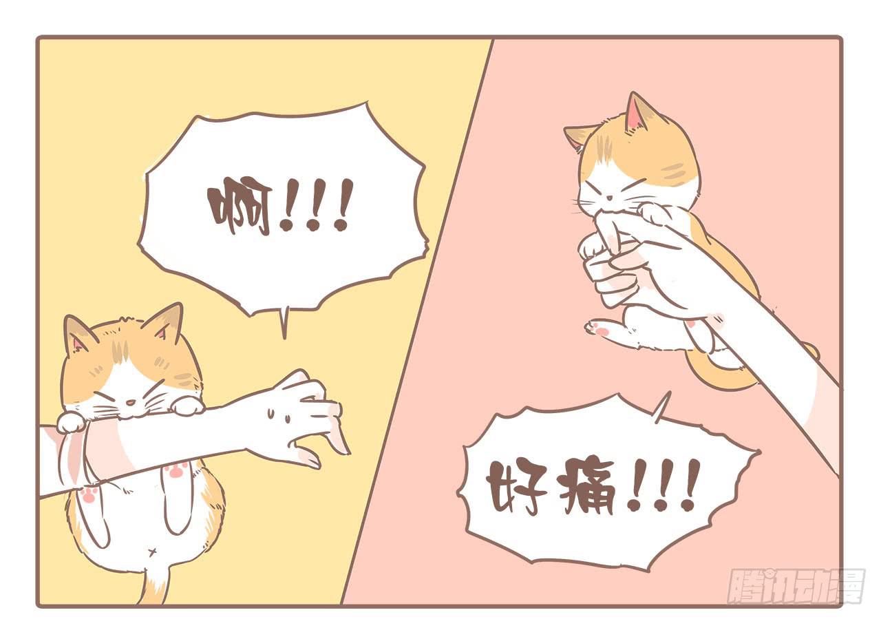 《大圣和小夭》领养了一只猫，叫督尼 第1页