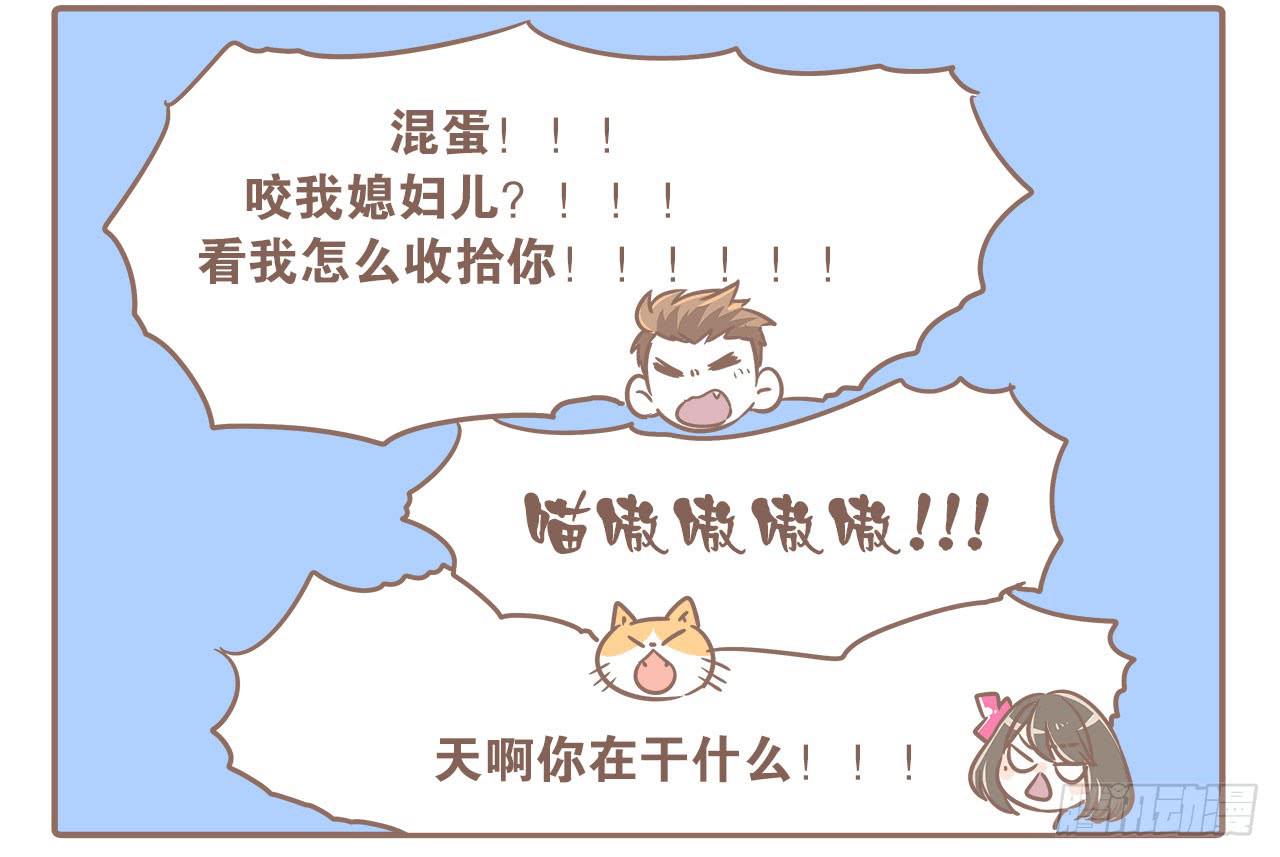《大圣和小夭》领养了一只猫，叫督尼 第2页