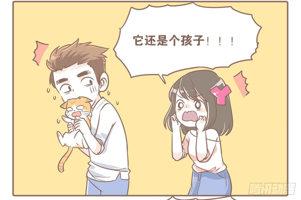 《大圣和小夭》领养了一只猫，叫督尼 第3页