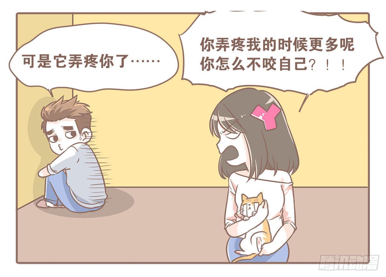 《大圣和小夭》领养了一只猫，叫督尼 第4页