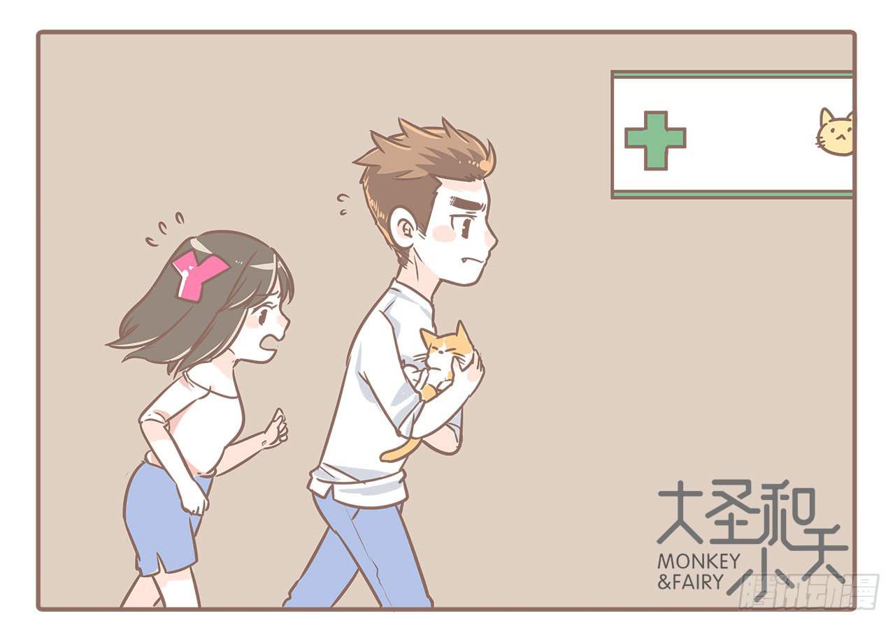 《大圣和小夭》领养了一只猫，叫督尼 第5页