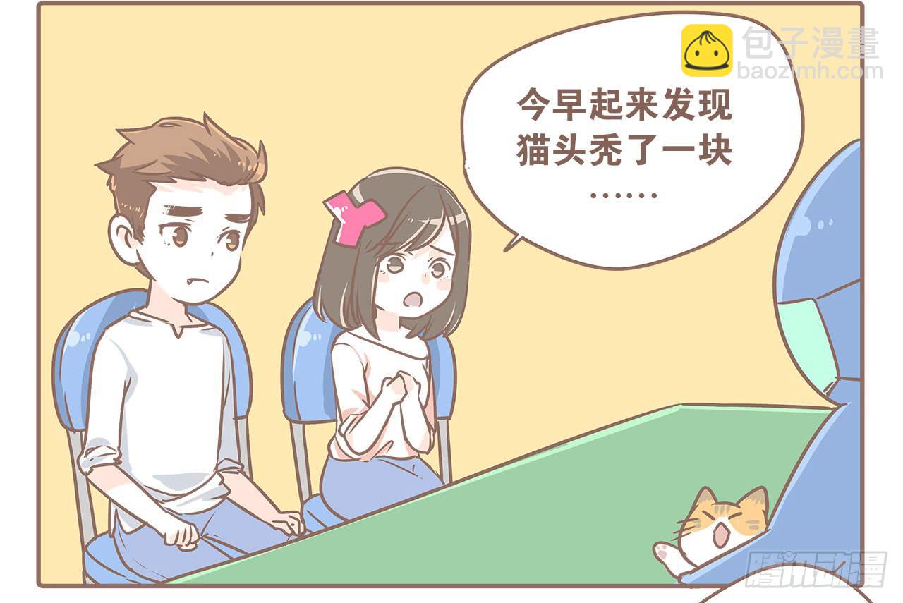 《大圣和小夭》领养了一只猫，叫督尼 第6页
