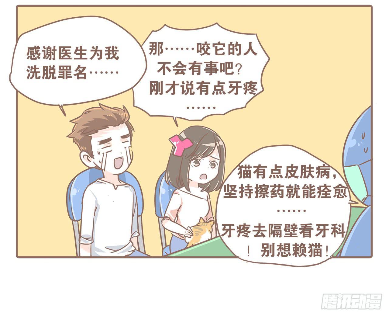 《大圣和小夭》领养了一只猫，叫督尼 第8页