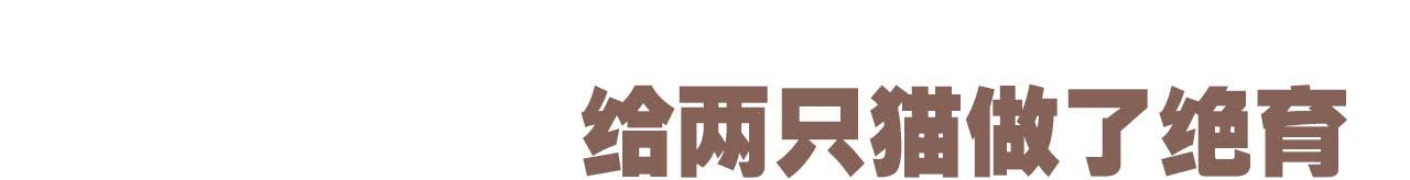 《大圣和小夭》听说有了男朋友就会…… 第5页