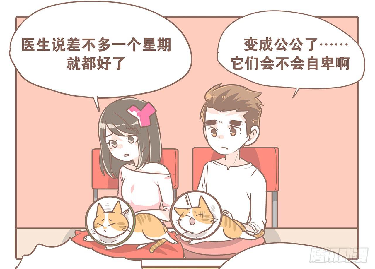 《大圣和小夭》听说有了男朋友就会…… 第6页