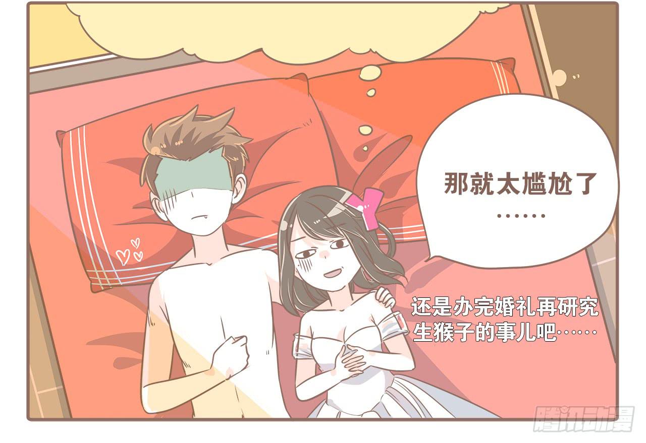 《大圣和小夭》此处不能有猫 第10页