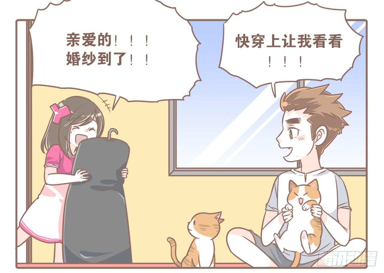 《大圣和小夭》此处不能有猫 第1页