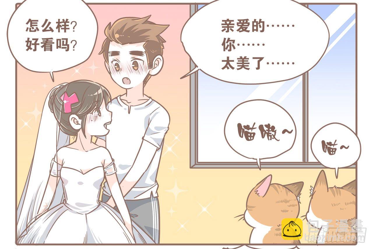 《大圣和小夭》此处不能有猫 第3页