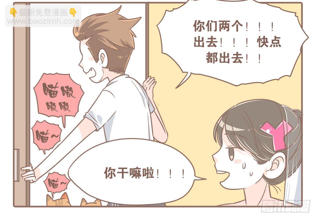 《大圣和小夭》此处不能有猫 第4页