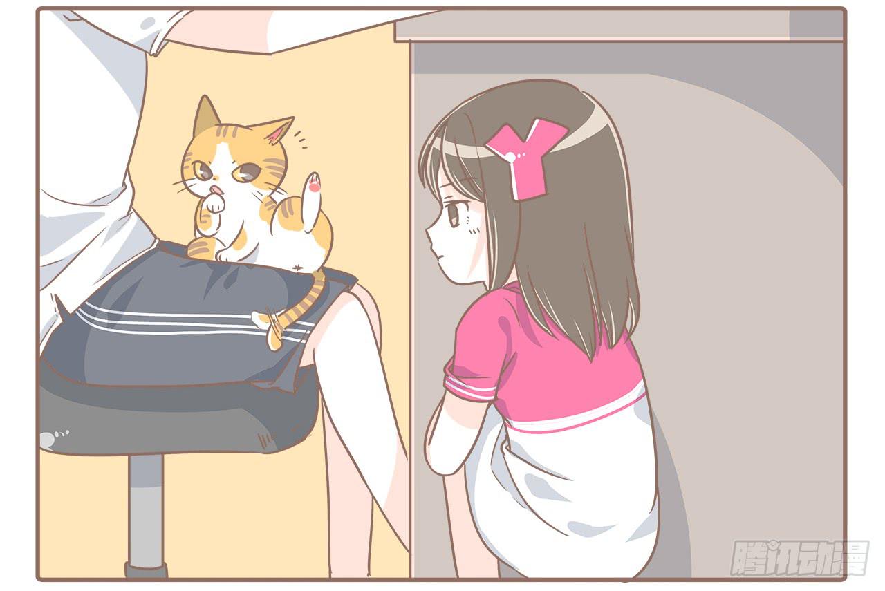《大圣和小夭》猫的内心是崩溃的 第6页