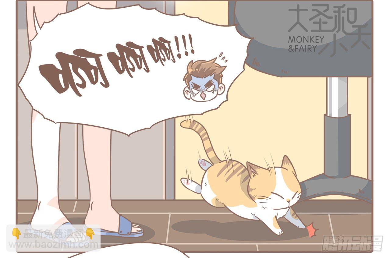 《大圣和小夭》猫的内心是崩溃的 第9页