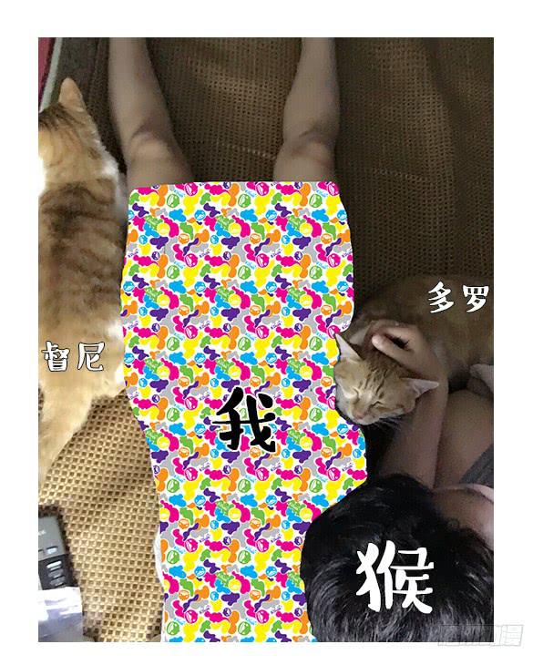 《大圣和小夭》一只粘人的大猴子 第6页