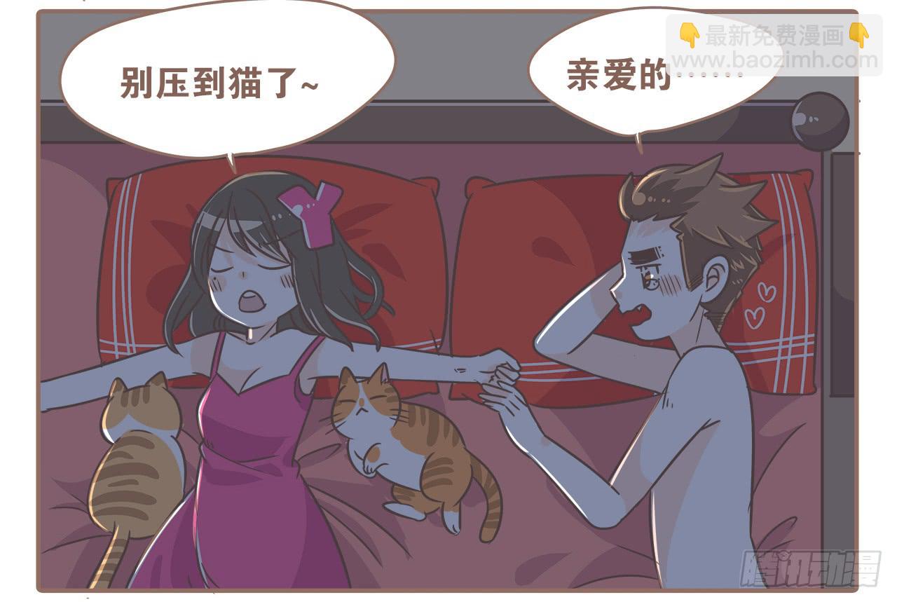 《大圣和小夭》猫奴的生活 第10页